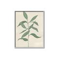 Picture of Swaying Foliage I _GroupedProduct_Rectangle_Portrait_Canvas_Framed_