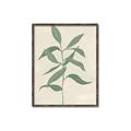 Picture of Swaying Foliage I _GroupedProduct_Rectangle_Portrait_Canvas_Framed_
