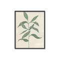Picture of Swaying Foliage I _GroupedProduct_Rectangle_Portrait_Canvas_Framed_