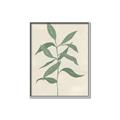 Picture of Swaying Foliage I _GroupedProduct_Rectangle_Portrait_Canvas_Framed_