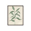Picture of Swaying Foliage I _GroupedProduct_Rectangle_Portrait_Canvas_Framed_