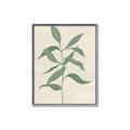 Picture of Swaying Foliage I _GroupedProduct_Rectangle_Portrait_Canvas_Framed_