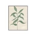 Picture of Swaying Foliage I _GroupedProduct_Rectangle_Portrait_Canvas_Framed_
