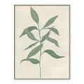 Picture of Swaying Foliage I _GroupedProduct_Rectangle_Portrait_Canvas_Framed_