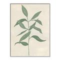 Picture of Swaying Foliage I _GroupedProduct_Rectangle_Portrait_Canvas_Framed_