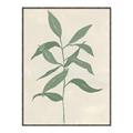 Picture of Swaying Foliage I _GroupedProduct_Rectangle_Portrait_Canvas_Framed_