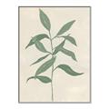 Picture of Swaying Foliage I _GroupedProduct_Rectangle_Portrait_Canvas_Framed_