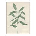 Picture of Swaying Foliage I _GroupedProduct_Rectangle_Portrait_Canvas_Framed_