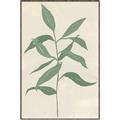 Picture of Swaying Foliage I _GroupedProduct_Rectangle_Portrait_Canvas_Framed_