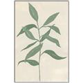 Picture of Swaying Foliage I _GroupedProduct_Rectangle_Portrait_Canvas_Framed_