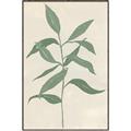 Picture of Swaying Foliage I _GroupedProduct_Rectangle_Portrait_Canvas_Framed_