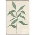 Picture of Swaying Foliage I _GroupedProduct_Rectangle_Portrait_Canvas_Framed_