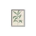 Picture of Swaying Foliage II _GroupedProduct_Rectangle_Portrait_Canvas_Framed_