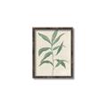 Picture of Swaying Foliage II _GroupedProduct_Rectangle_Portrait_Canvas_Framed_