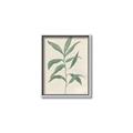 Picture of Swaying Foliage II _GroupedProduct_Rectangle_Portrait_Canvas_Framed_