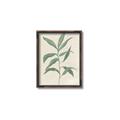 Picture of Swaying Foliage II _GroupedProduct_Rectangle_Portrait_Canvas_Framed_