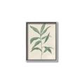 Picture of Swaying Foliage II _GroupedProduct_Rectangle_Portrait_Canvas_Framed_
