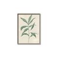 Picture of Swaying Foliage II _GroupedProduct_Rectangle_Portrait_Canvas_Framed_