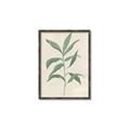 Picture of Swaying Foliage II _GroupedProduct_Rectangle_Portrait_Canvas_Framed_