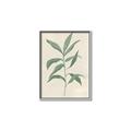 Picture of Swaying Foliage II _GroupedProduct_Rectangle_Portrait_Canvas_Framed_