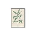 Picture of Swaying Foliage II _GroupedProduct_Rectangle_Portrait_Canvas_Framed_