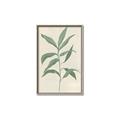 Picture of Swaying Foliage II _GroupedProduct_Rectangle_Portrait_Canvas_Framed_
