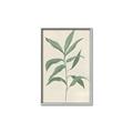 Picture of Swaying Foliage II _GroupedProduct_Rectangle_Portrait_Canvas_Framed_