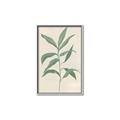 Picture of Swaying Foliage II _GroupedProduct_Rectangle_Portrait_Canvas_Framed_