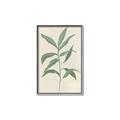 Picture of Swaying Foliage II _GroupedProduct_Rectangle_Portrait_Canvas_Framed_