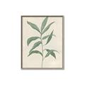 Picture of Swaying Foliage II _GroupedProduct_Rectangle_Portrait_Canvas_Framed_