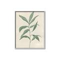 Picture of Swaying Foliage II _GroupedProduct_Rectangle_Portrait_Canvas_Framed_