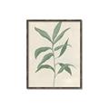 Picture of Swaying Foliage II _GroupedProduct_Rectangle_Portrait_Canvas_Framed_
