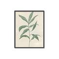 Picture of Swaying Foliage II _GroupedProduct_Rectangle_Portrait_Canvas_Framed_