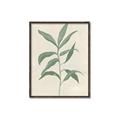 Picture of Swaying Foliage II _GroupedProduct_Rectangle_Portrait_Canvas_Framed_