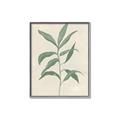 Picture of Swaying Foliage II _GroupedProduct_Rectangle_Portrait_Canvas_Framed_