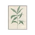 Picture of Swaying Foliage II _GroupedProduct_Rectangle_Portrait_Canvas_Framed_