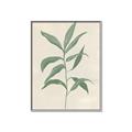 Picture of Swaying Foliage II _GroupedProduct_Rectangle_Portrait_Canvas_Framed_