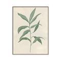 Picture of Swaying Foliage II _GroupedProduct_Rectangle_Portrait_Canvas_Framed_