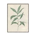 Picture of Swaying Foliage II _GroupedProduct_Rectangle_Portrait_Canvas_Framed_
