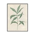 Picture of Swaying Foliage II _GroupedProduct_Rectangle_Portrait_Canvas_Framed_