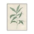 Picture of Swaying Foliage II _GroupedProduct_Rectangle_Portrait_Canvas_Framed_