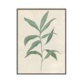 Picture of Swaying Foliage II _GroupedProduct_Rectangle_Portrait_Canvas_Framed_