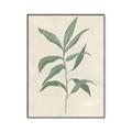 Picture of Swaying Foliage II _GroupedProduct_Rectangle_Portrait_Canvas_Framed_