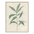 Picture of Swaying Foliage II _GroupedProduct_Rectangle_Portrait_Canvas_Framed_