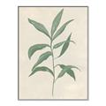 Picture of Swaying Foliage II _GroupedProduct_Rectangle_Portrait_Canvas_Framed_