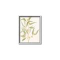 Picture of Botanical Strand I _GroupedProduct_Rectangle_Portrait_Canvas_Framed_