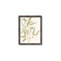 Picture of Botanical Strand I _GroupedProduct_Rectangle_Portrait_Canvas_Framed_