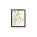 Picture of Botanical Strand I _GroupedProduct_Rectangle_Portrait_Canvas_Framed_