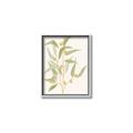Picture of Botanical Strand I _GroupedProduct_Rectangle_Portrait_Canvas_Framed_