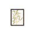 Picture of Botanical Strand I _GroupedProduct_Rectangle_Portrait_Canvas_Framed_